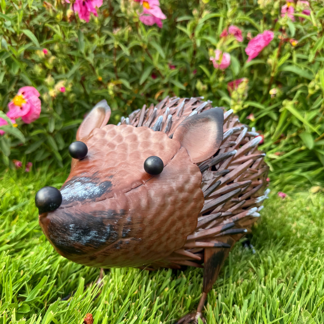 Garden Ornament - Hedgehog