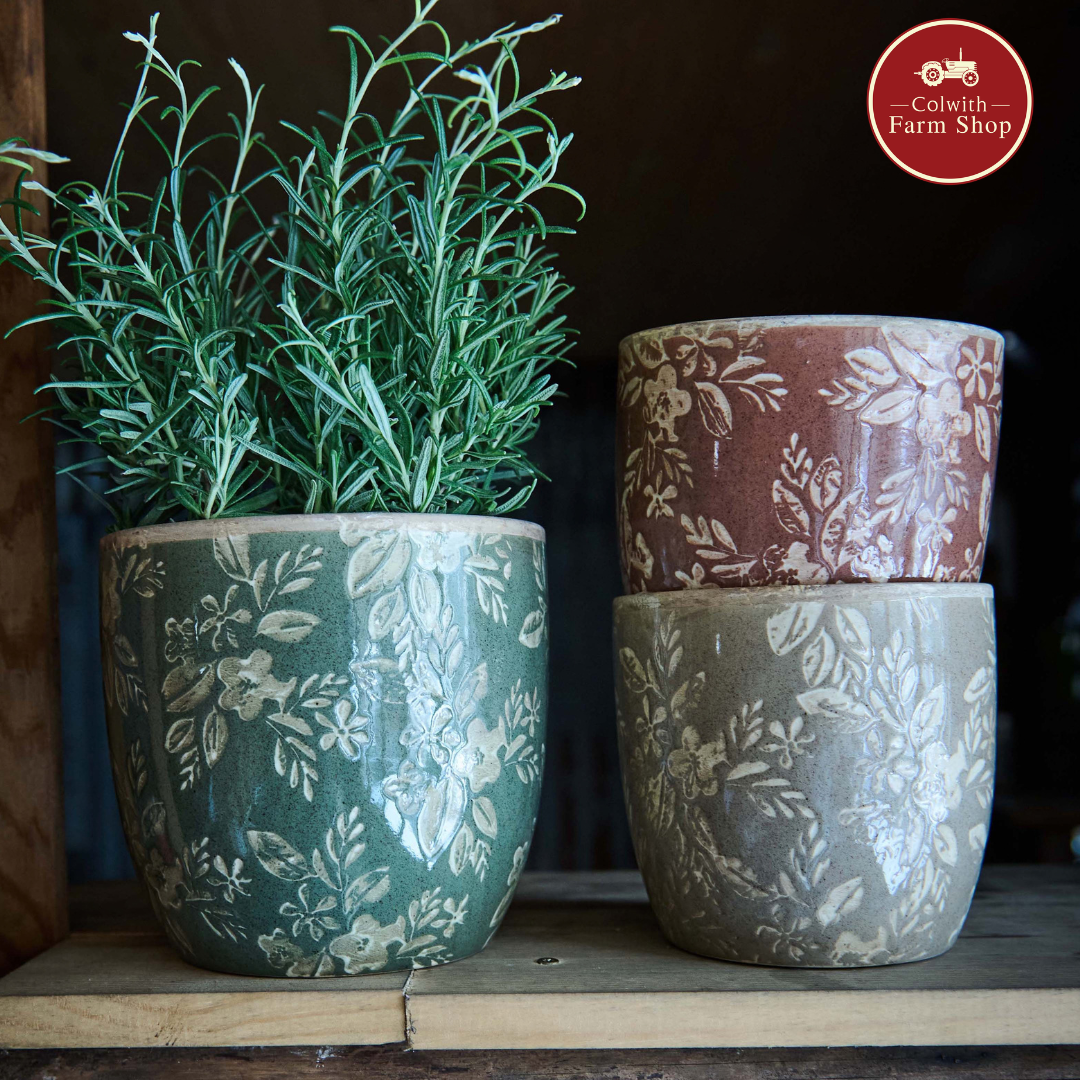 Green Pots Set of 2