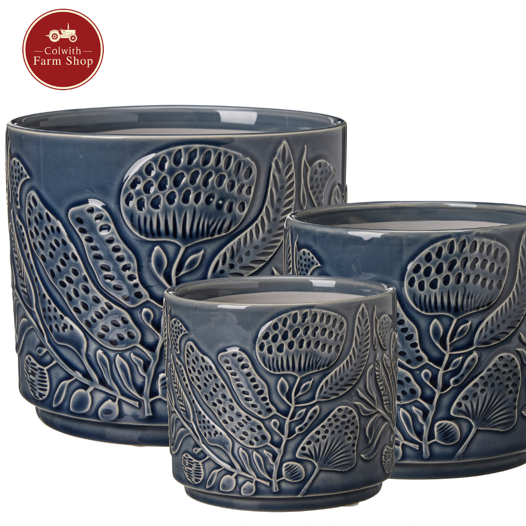 A trio of Blue Plant Pots