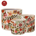 Poppy Pots Set of 3