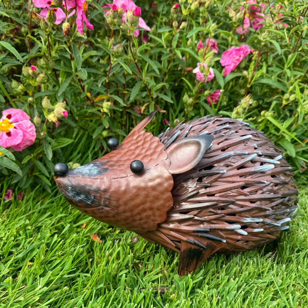 Garden Ornament - Hedgehog