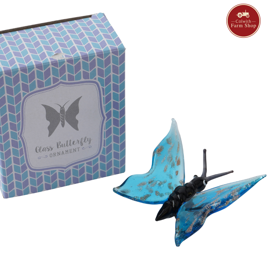 Glass Butterfly
