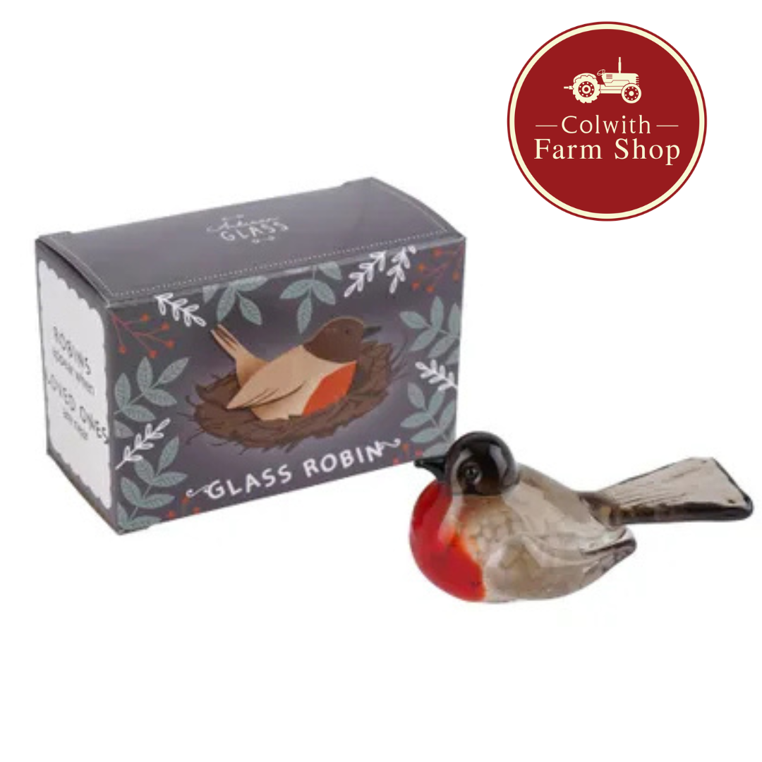 Glass Boxed Robin