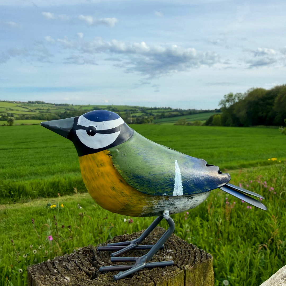 Garden Ornament - Blue Tit