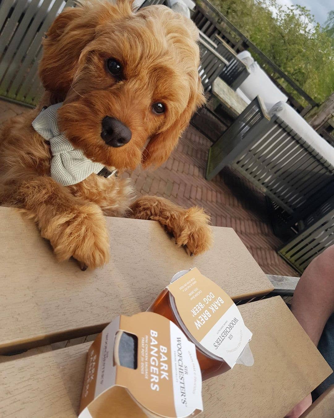 Bark Bangers Treat Pot · Mini Chicken Sausage Dog Treats