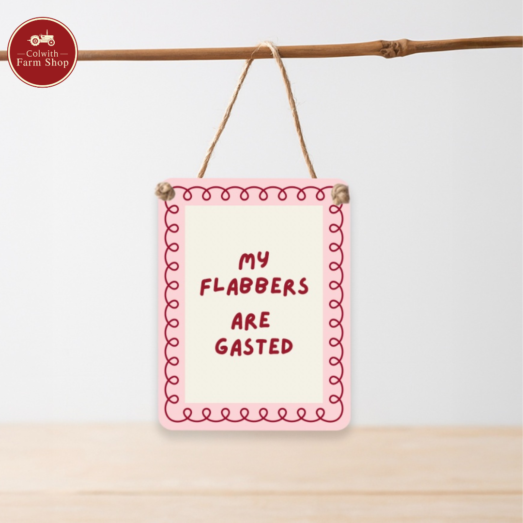 Hanging Sign - My flabbers are gasted