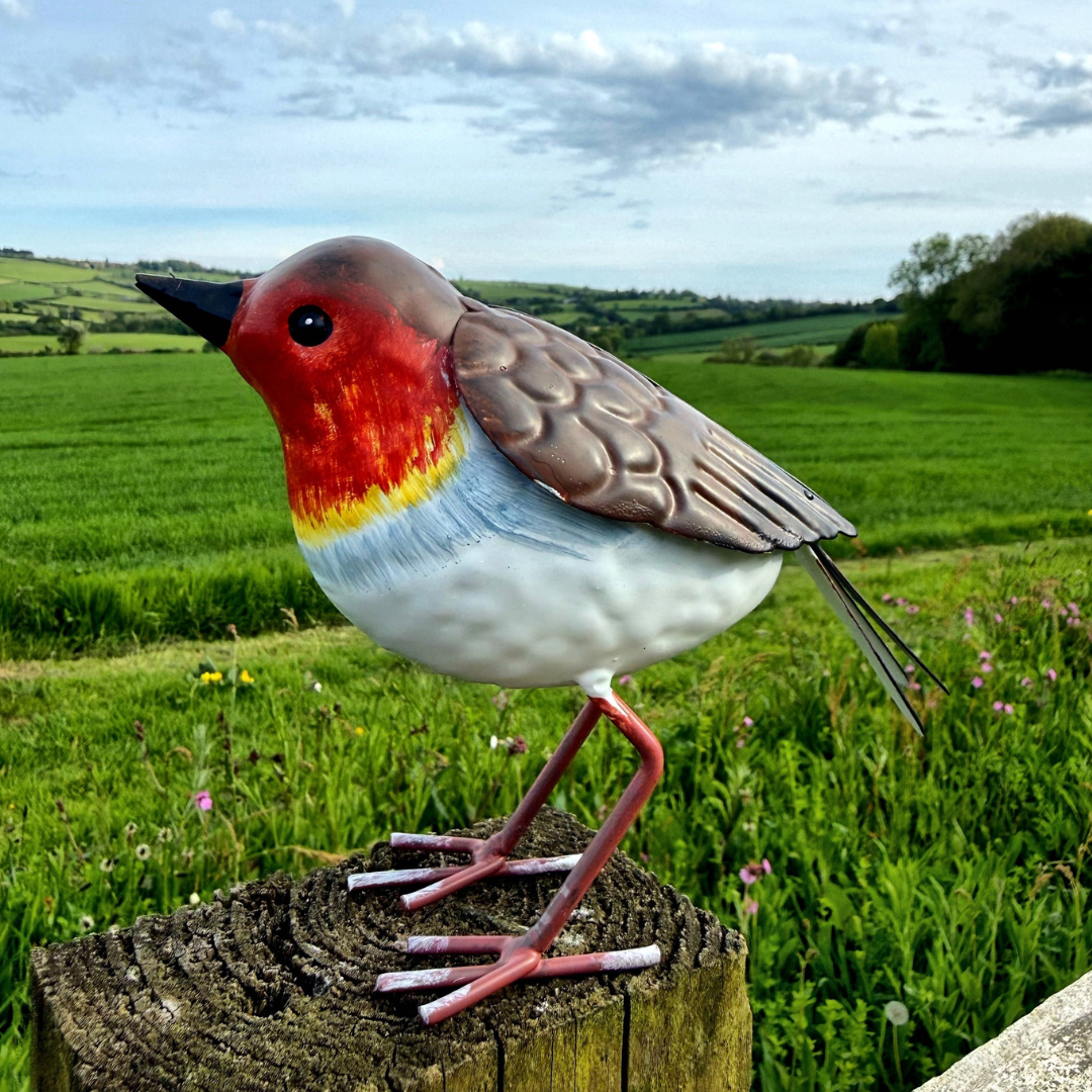Garden Ornament - Robin