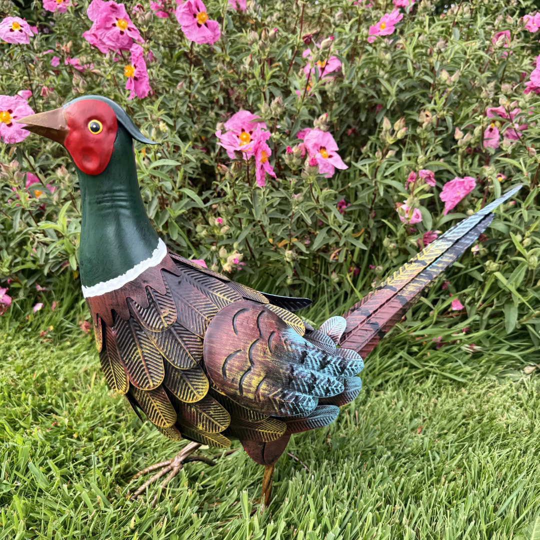 Garden Ornament - Alert Pheasant