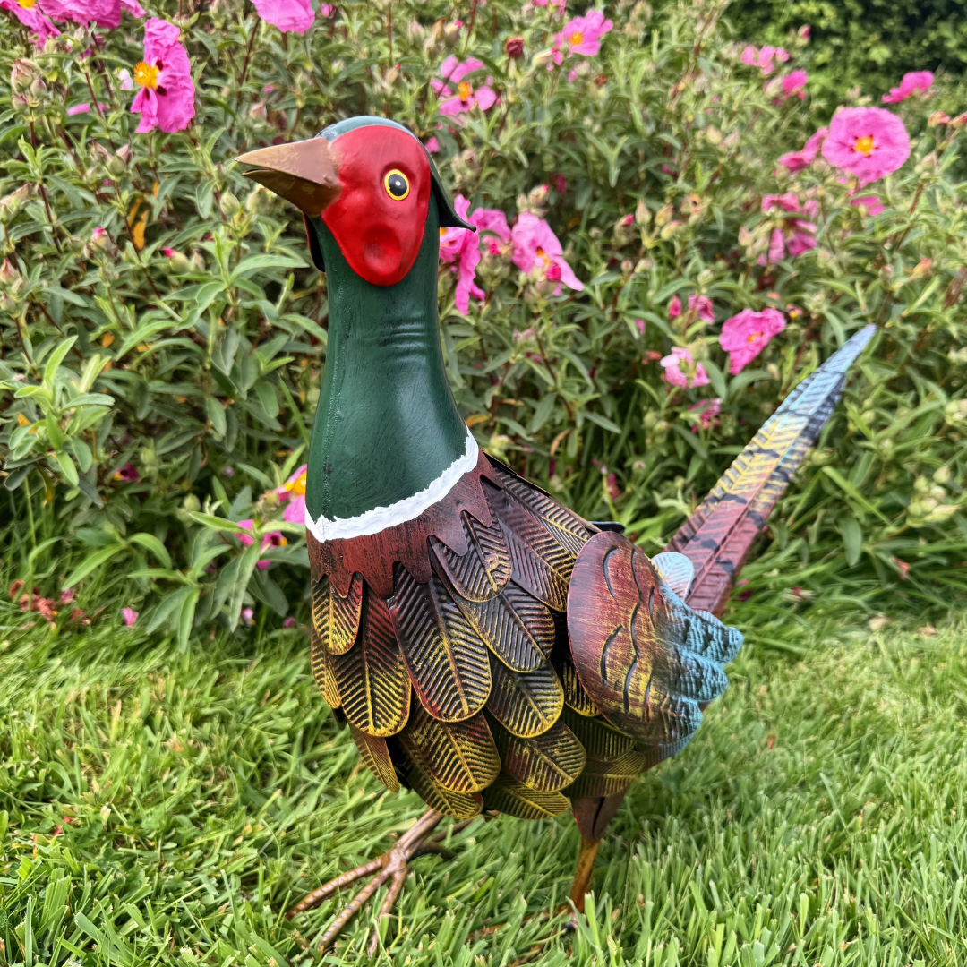 Garden Ornament - Alert Pheasant