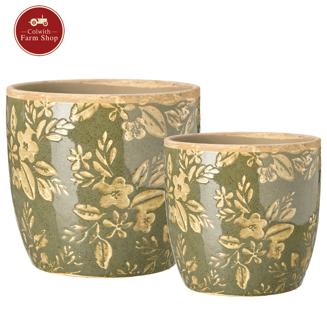 Green Pots Set of 2