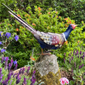 Garden Ornament - Feeding Pheasant