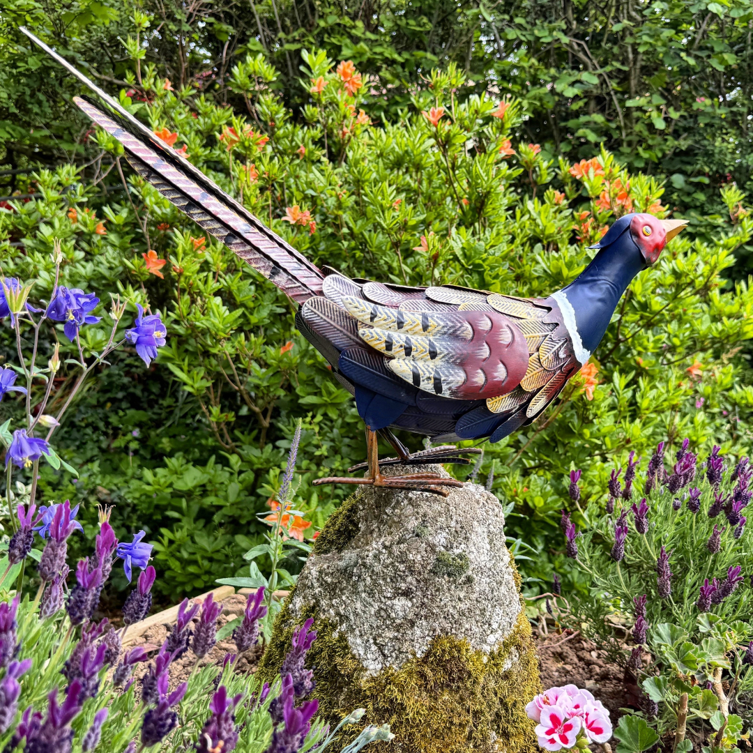 Garden Ornament - Feeding Pheasant