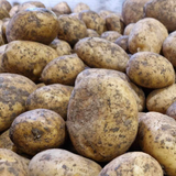 Accord Potatoes (Unwashed) - 12.5KG