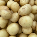Melody Potatoes (Washed) - 10 KG