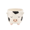 Mini Cow Planter by Sass and Belle