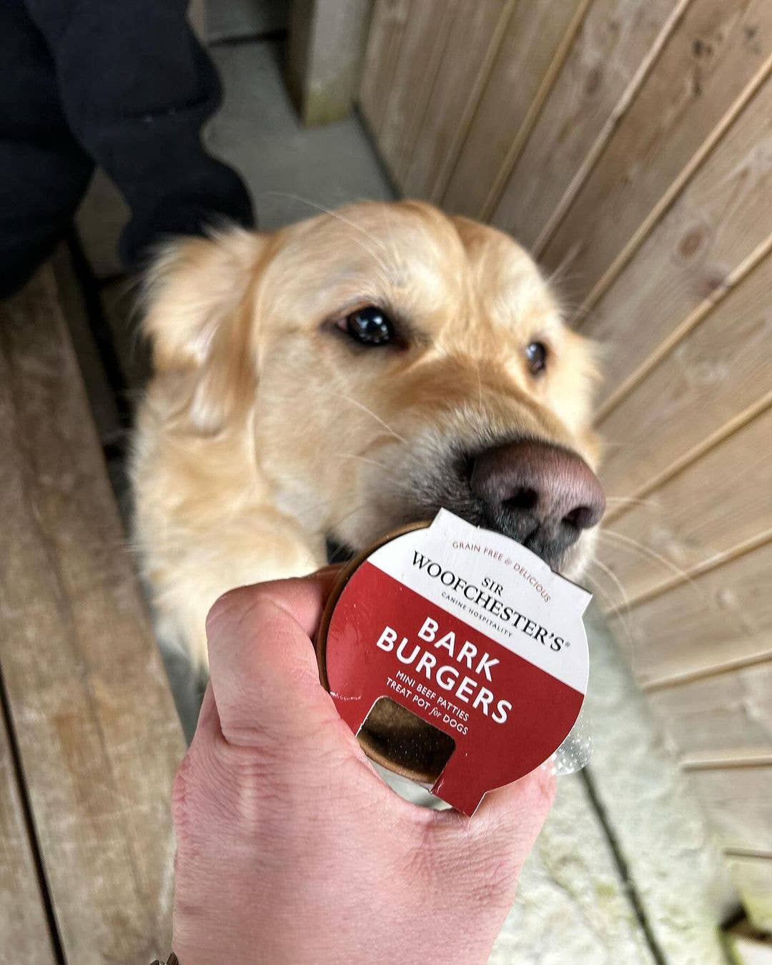 Bark Burgers Treat Pot · Mini Cheese Burgers Dog Treats