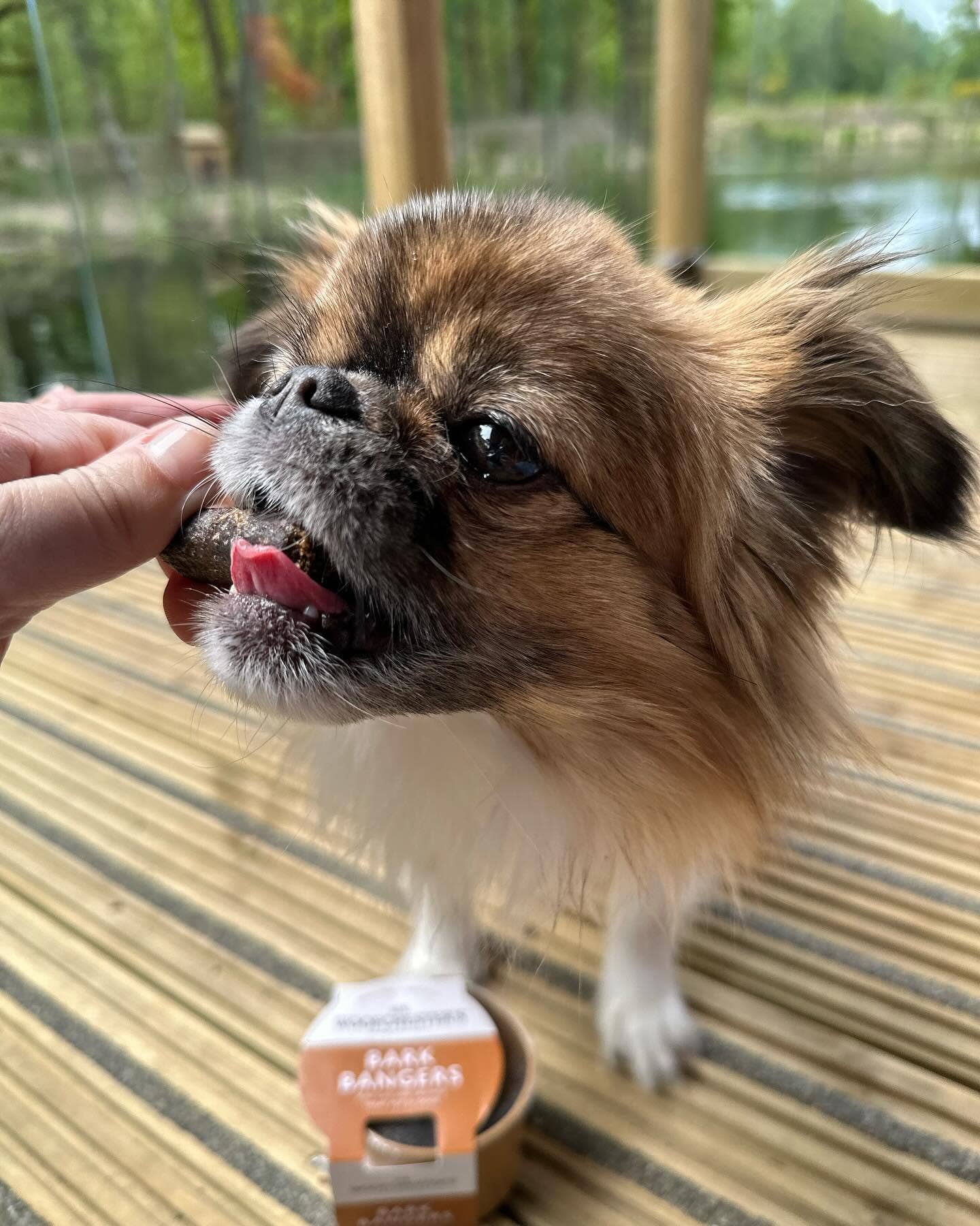 Bark Bangers Treat Pot · Mini Chicken Sausage Dog Treats
