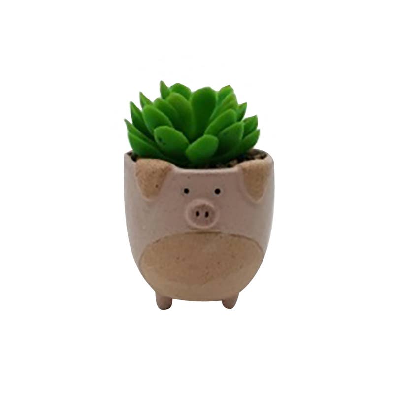 Piggy Plant Pot