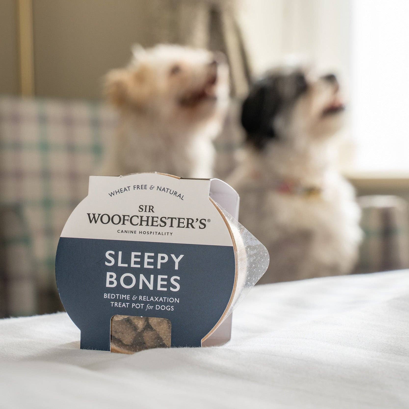 Sleepy Bones Treat Pot · Bedtime & Relaxation Dog Treats