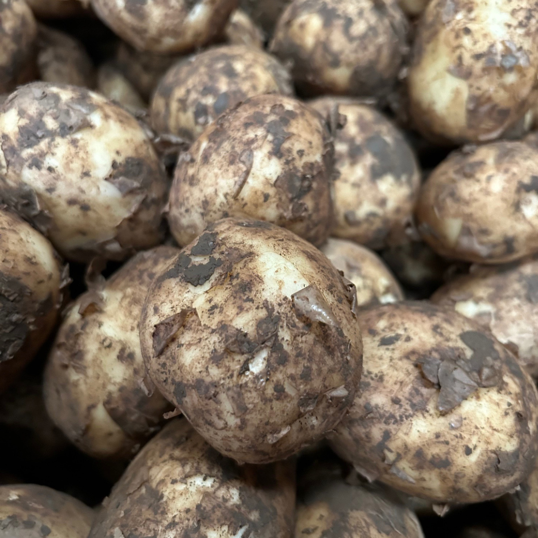 Maris Peer (Washed) - 2 KG NEW SEASON